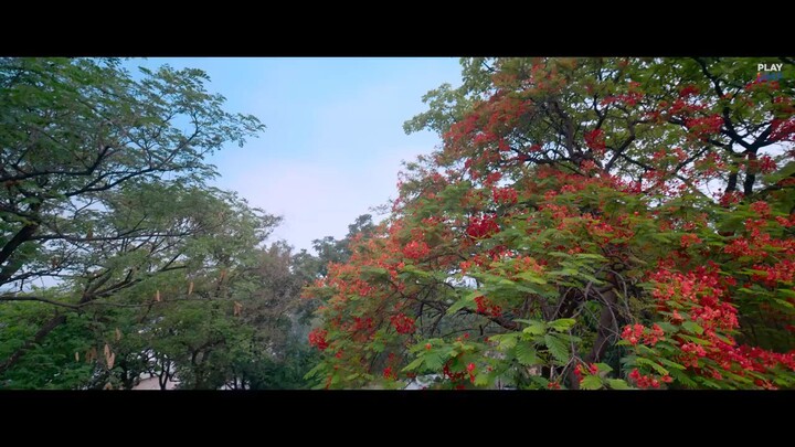 Deewaniyat_Title _Track- New hindi song 2026