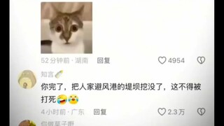 朋友你是说。。你用一把铲子开了一条运河？