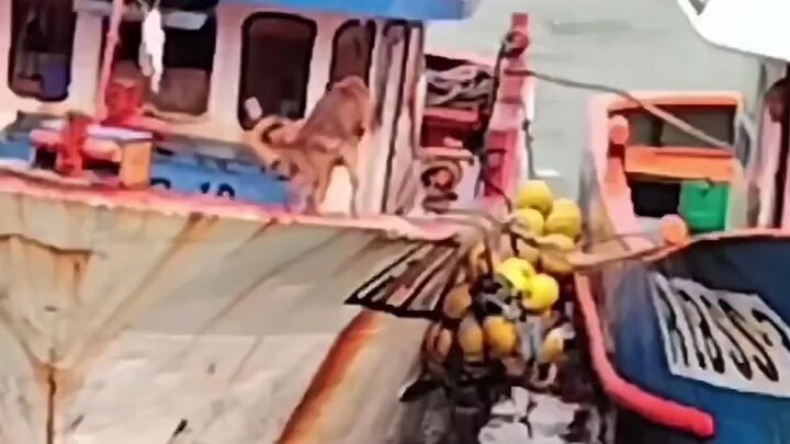 See the end