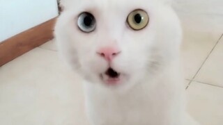 เห็นได้ชัดว่าโกรธจริงๆ