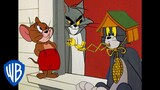 Tom & Jerry em Português 🇧🇷 | Brasil | Les rois de la malice | WB Kids