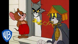 Tom i Jerry po polsku 🇵🇱 | Królowie psot | WB Kids