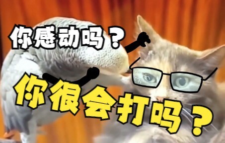Bạn đánh giỏi lắm à? Động đậy thử xem sao?