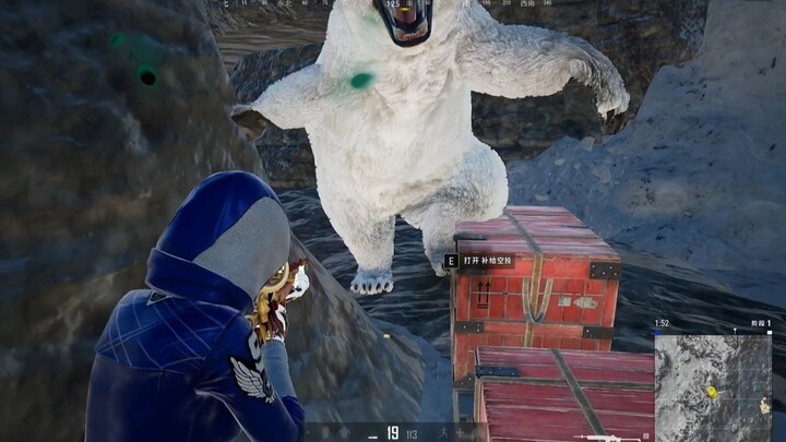 You were born to be a streamer!