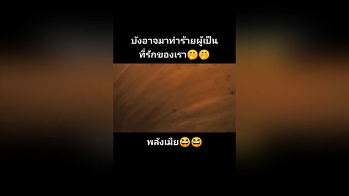 เท่ทั้งคู่