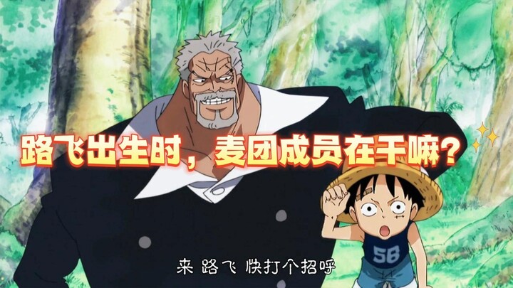 Khi Luffy chào đời, các thành viên băng Mũ Rơm đang làm gì?