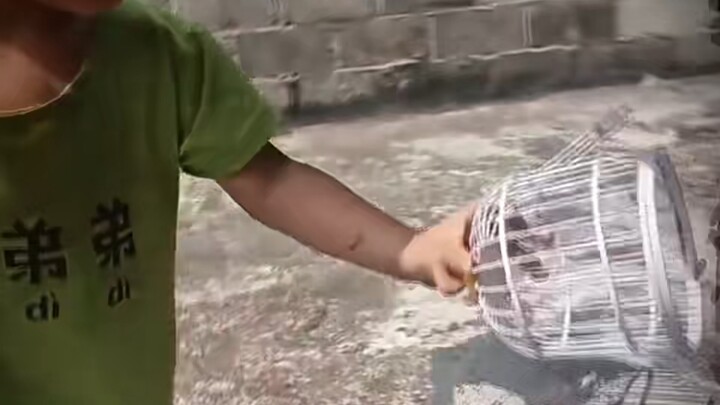 Funny video