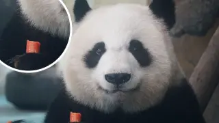 Pandas nan