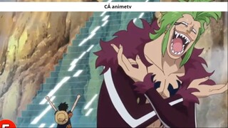 Tất tần tật về Jinbe và quá trình trở thành thành viên thứ 10 băng Mũ Rơm ! 5