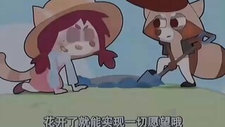 Dormitory No. 0's amazing scene