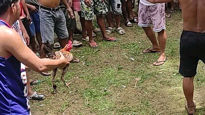 (win) Binabae vs binabae