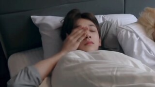 【Joshua Hồng Tri Thụ】Thật tệ! Làm sao đây, Shy Rabbit khởi động không thành công!!