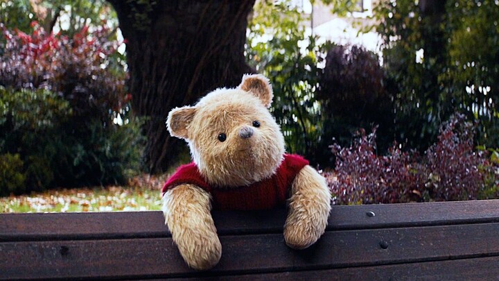 Even though I haven't seen you for many years, I can still recognize you at a glance