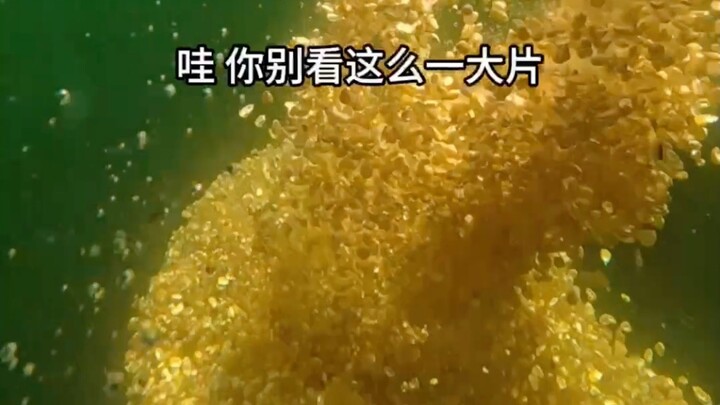 It’s okay… The guaranteed mechanism has triggered halfway!