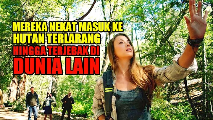 SEJUMLAH ANAK MUDA NEKAT MASUK KE HUTAN TERLARANG DEMI MENCARI REKAN YANG HILANG