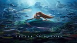 The Little Mermaid - WATCH THE FULL MOVIE THE LINK IN MOVIE