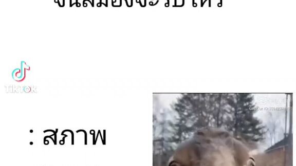 นี่คือสภาพหน้าของผม