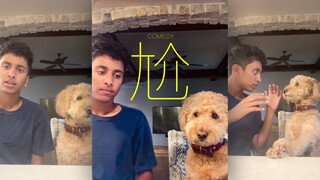 尴尬溢满了整个屏幕，狗狗太受苦了🥹