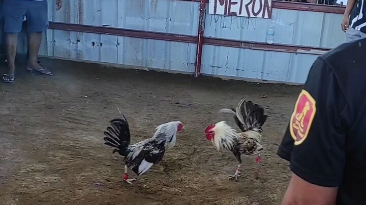 slowmo natin, nakapost na din ang original video..