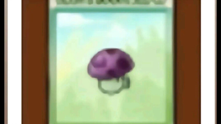 Nhật ký nấm phun nhỏ