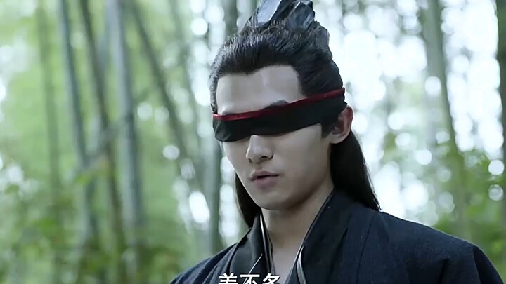 Although Wuzhu has never practiced martial arts or used true qi, he still fights like a grandmaster.