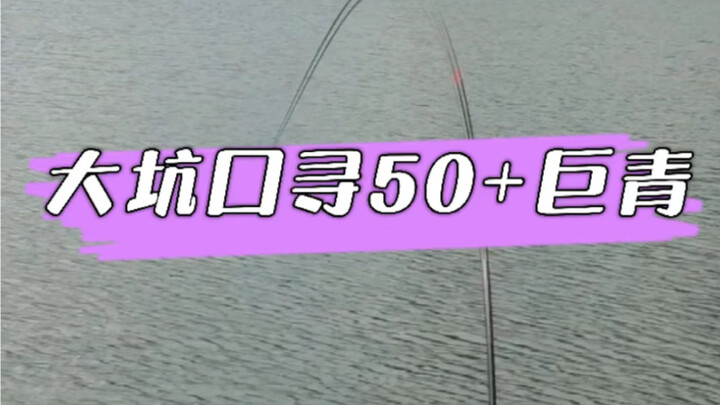 Searching for a 50+ lb bluegill at Dakengkou Reservoir