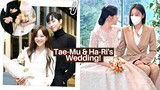 Tae-Mu & Ha-Ri's Wedding! | Business Proposal Ending Theory