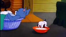Tom and Jerry episode 80 - Puppy Tale (1954)