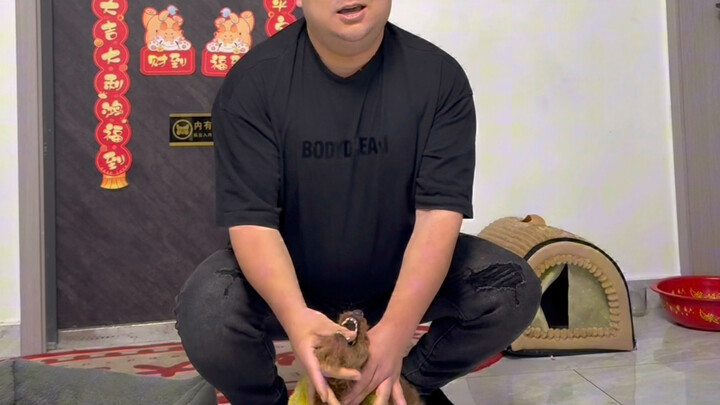 Giáo viên nước ngoài hay anh Mô Mô mới là vua tốc độ?