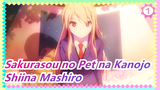 Sakurasou no Pet na Kanojo/Tak Pernah Menyesal Mencintai Mashiro & Kan Terus Cinta Dia Selamanya!_1