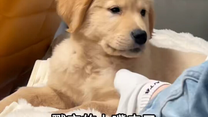 Agak pemarah, tapi tidak terlalu