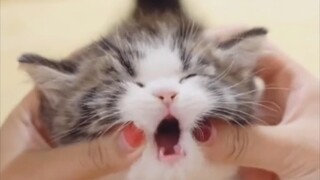 "Stop pinching me, I want to call my mom."