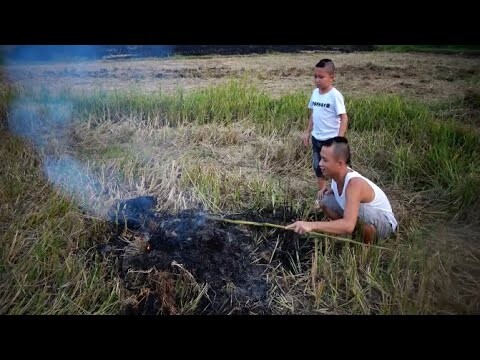 Ẩm Thực Ngày Mùa Cùng Anh Em Tam Mao TV