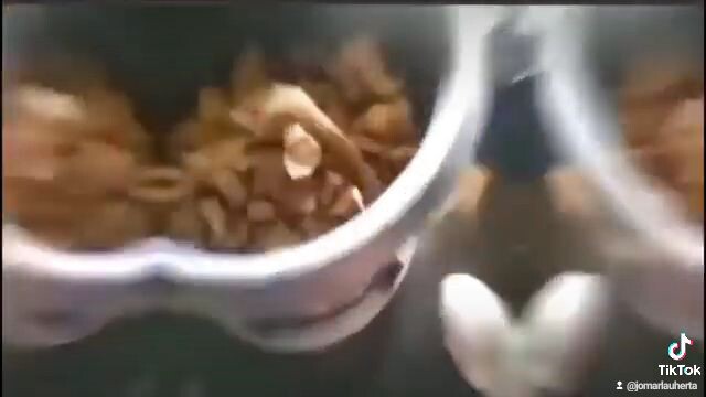 🤣🤣🤣