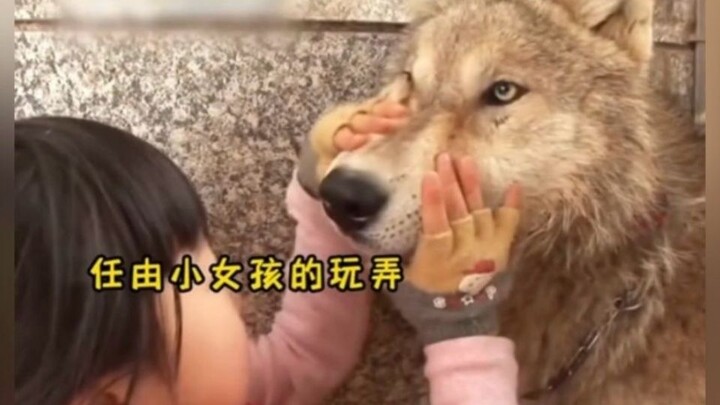 “เธอไม่เคยทำให้ฉันเชื่องเลย ฉันแค่เก็บเขี้ยวไว้ตอนที่รักเธอ” ฉันเคยคิดว่ามนุษย์ทุกคนน่าจะดีเหมือนแม่