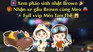 FULL VVIP MÈO TAM THỂ, NHẬN XE GẤU BROWN, XEM PHÁO BÔNG SINH NHẬT BROWN CÙNG MEO