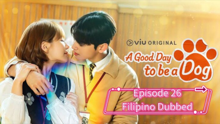 A Good Day To Be A Dog (Tagalog Dubbed) Ep26