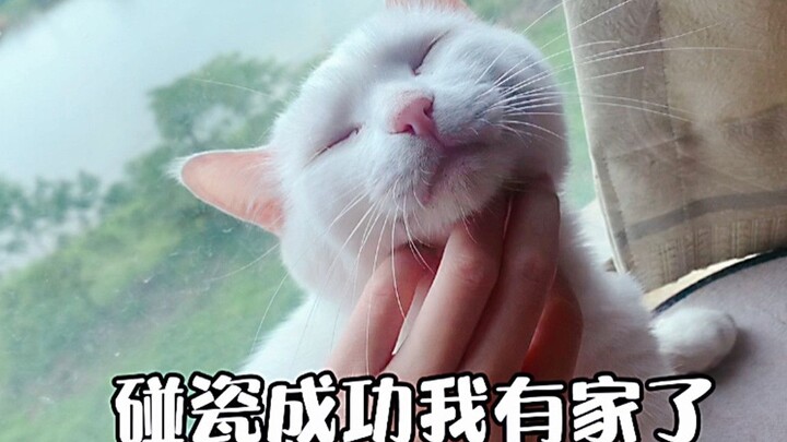 ขอเพียงทักษะการตีเนียนเก่ง รายได้ประจำก็ไม่ขาดแน่นอน