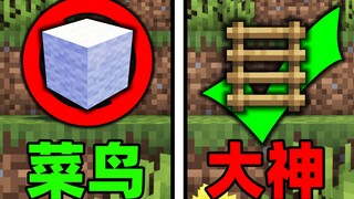 把梯子开发到极致，这才是MC的真正玩法！