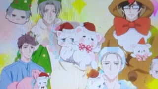 The new boss is a natural 12 Christmas cat white peach