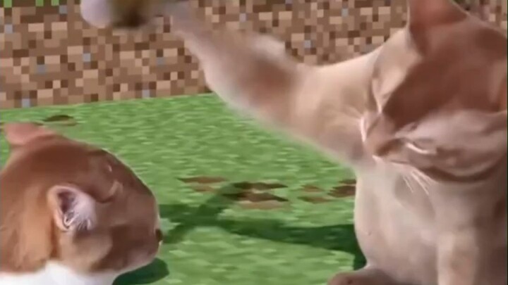 Cat, but Minecraft
