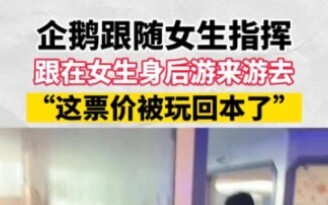 The penguin follows the girl conductor, swimming back and forth right behind her—ticket revenue has 