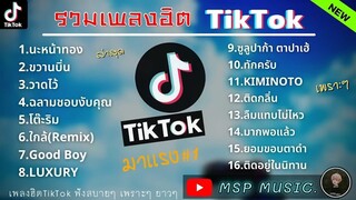 รวมเพลงฮิตในTikTokล่าสุด รวมเพลงฮิตในแอพติ๊กต๊อกล่าสุด ฟังสบายๆยาวๆ