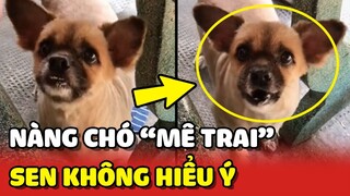 Bé chó thể hiện sự MÊ TRAI nhưng con Sen lại KHÔNG HIỂU 😂 | Yêu Lu