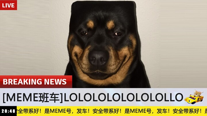 【Xe buýt MEME】Cười muốn chết, tối nay trong chăn xuất hiện Tiểu Nam Lương #41