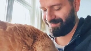 看完不知该羡慕人还是羡慕猫....都是理想中的生活状态啊！