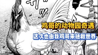 【鸡哥传】No.3 鸡哥被关进动物园！放了他，鸽鸽是无辜的！