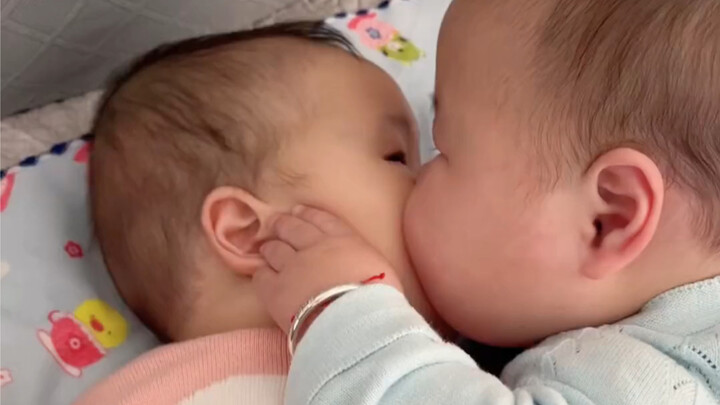 Dua potong daging yang menempel satu sama lain, ledakan lucu!