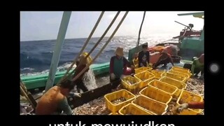 Era Baru Telah dimulai mari kita cari harta karun dunia nyata