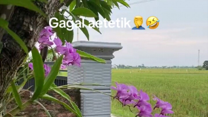 Gagal Aestetik😹😹